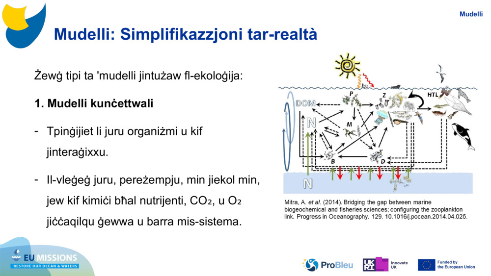 Mudelli: Simplifikazzjoni tar-realtà