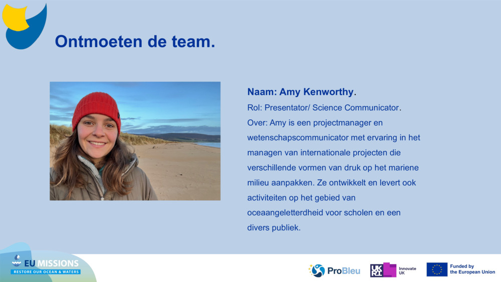 Ontmoeten