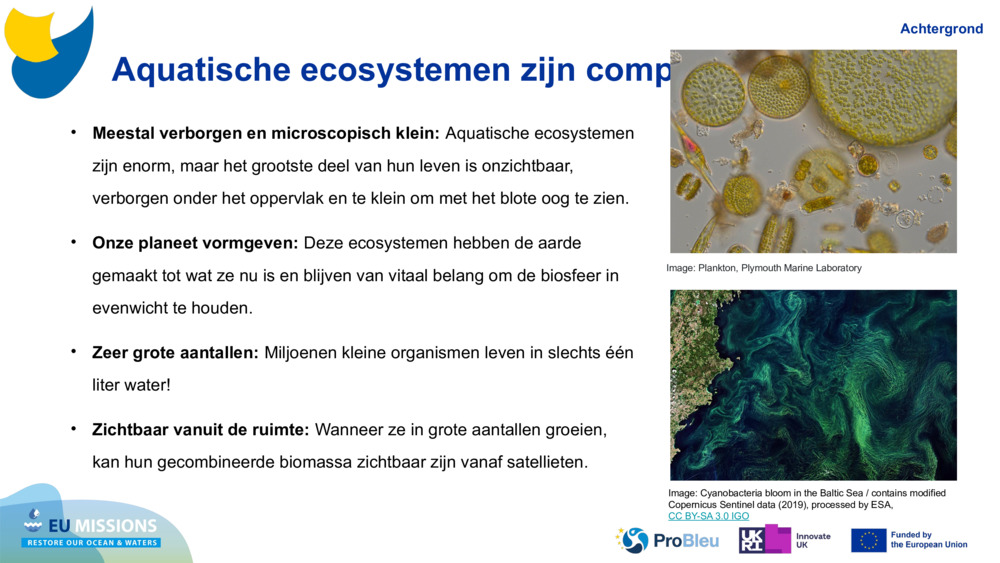 Aquatische ecosystemen zijn complex