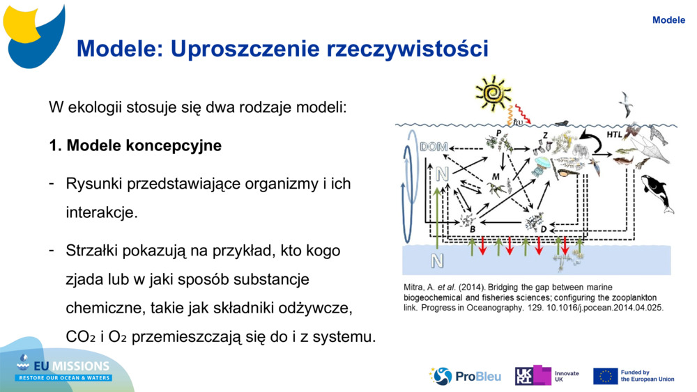 Modele: Uproszczenie rzeczywistości
