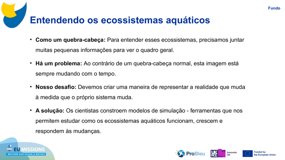 Entendendo os ecossistemas aquáticos