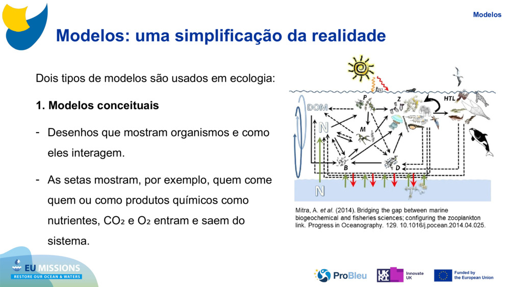 Modelos: uma simplificação da realidade
