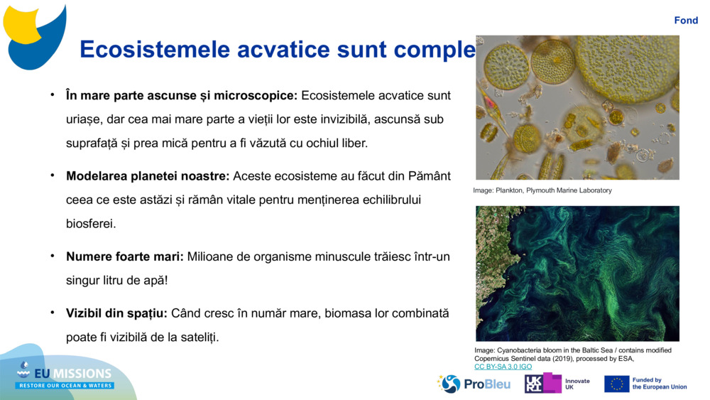 Ecosistemele acvatice sunt complexe