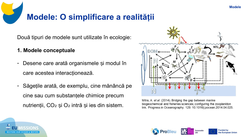Modele: O simplificare a realității