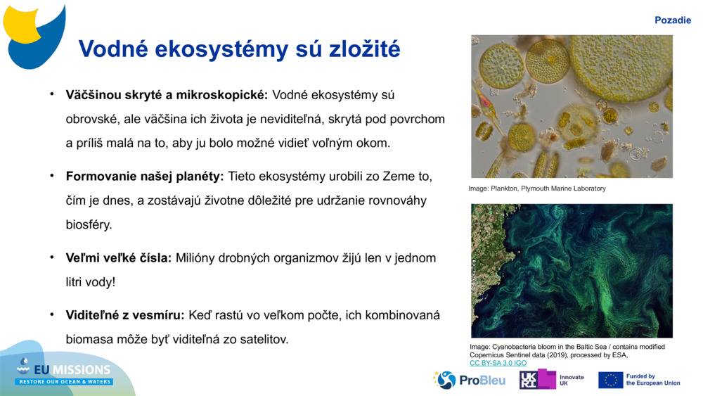 Vodné ekosystémy sú zložité