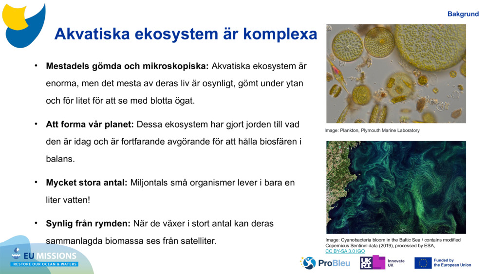 Akvatiska ekosystem är komplexa