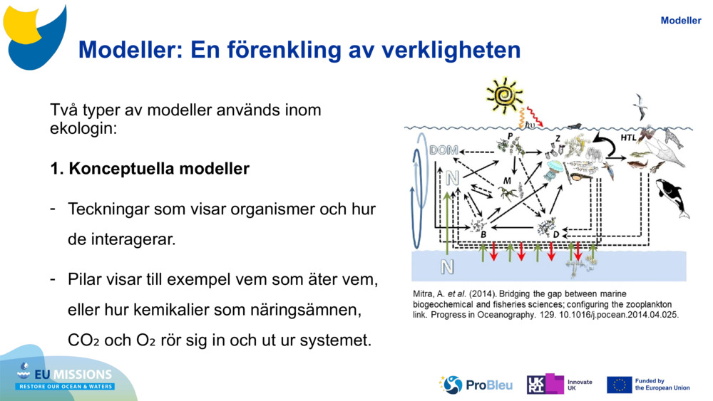 Modeller: En förenkling av verkligheten