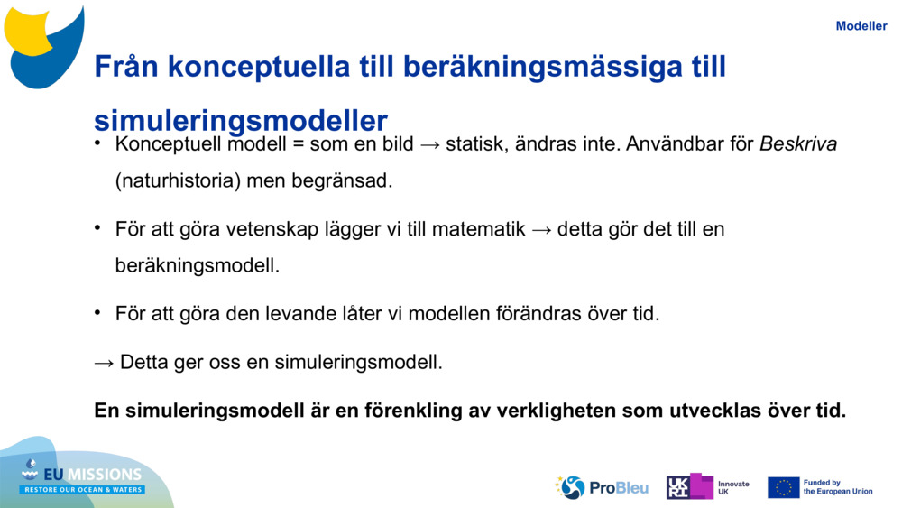Från konceptuella till beräkningsmässiga till simuleringsmodeller