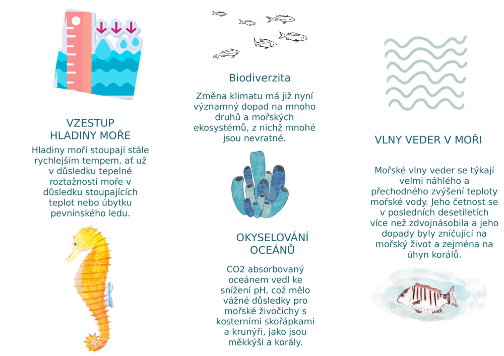 VZESTUP HLADINY MOŘE