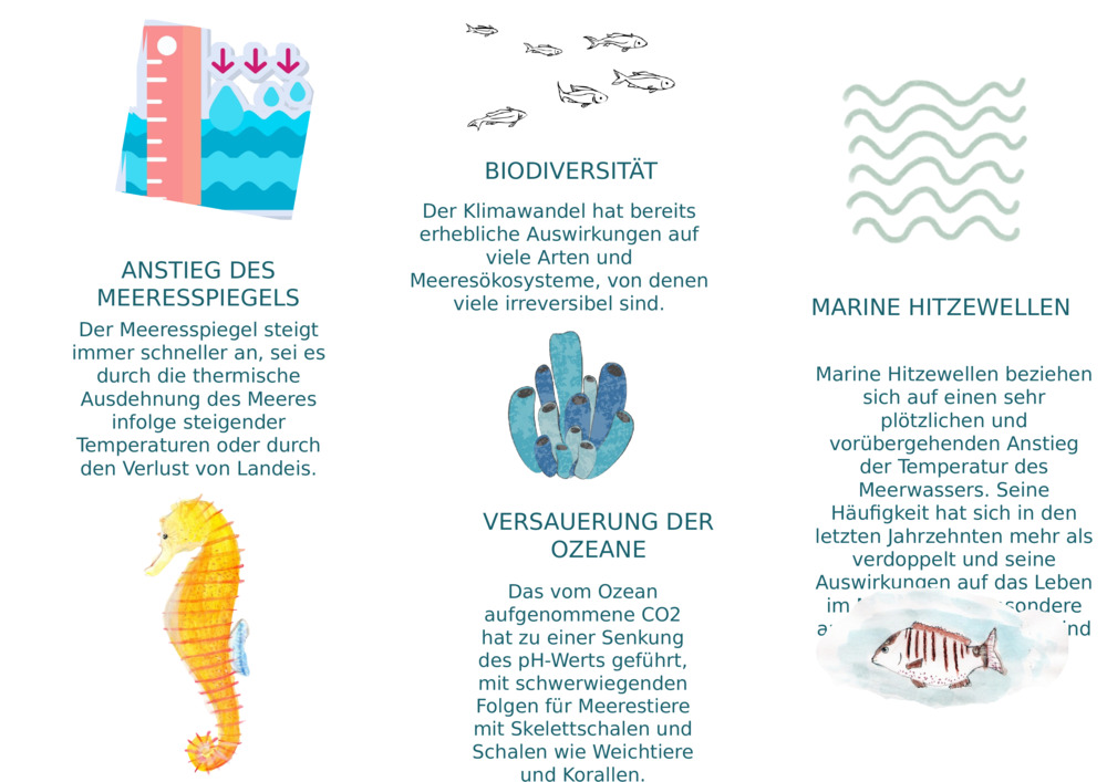 ANSTIEG DES MEERESSPIEGELS