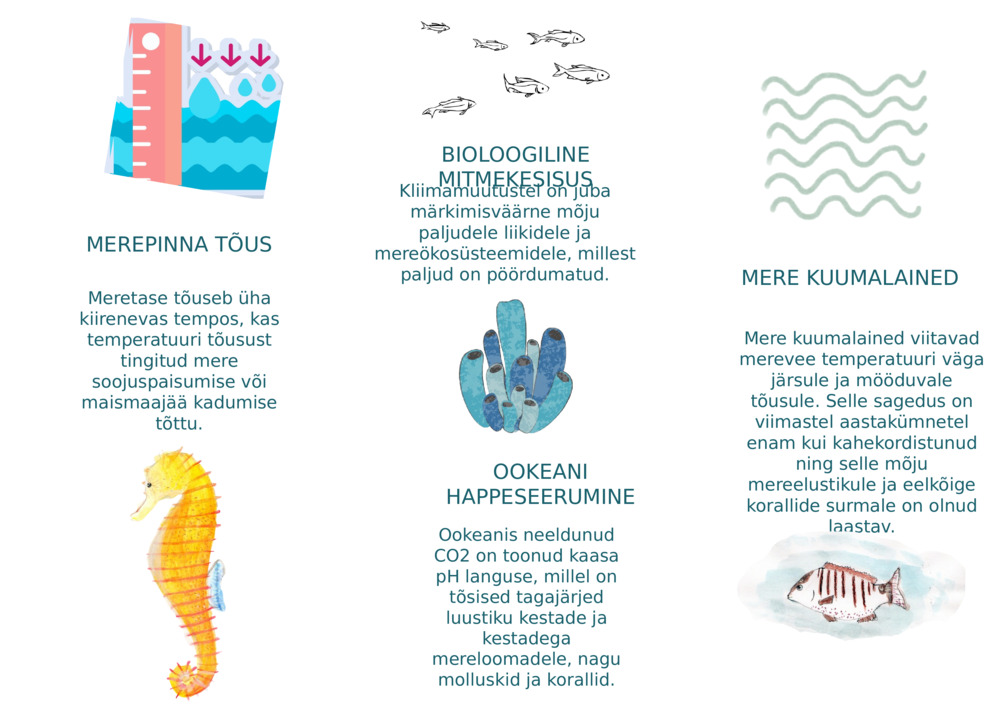 MEREPINNA TÕUS
