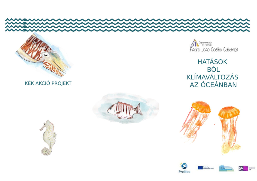 Az éghajlatváltozás hatása az óceánra