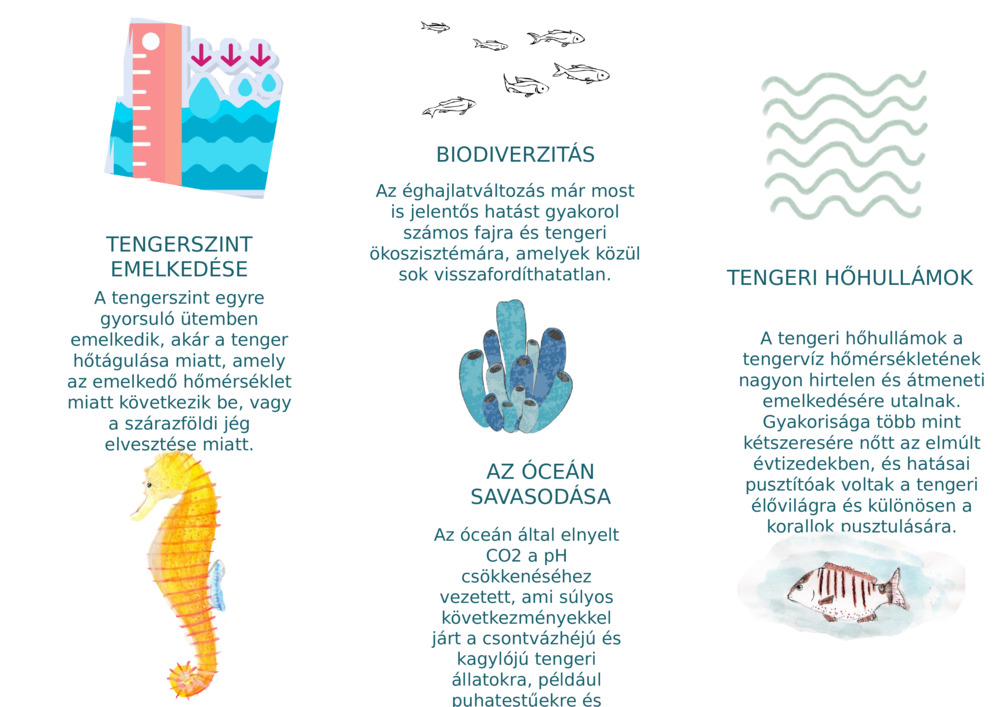 TENGERSZINT EMELKEDÉSE