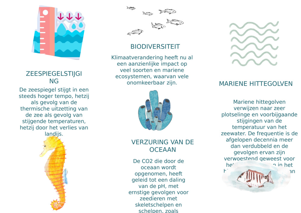 ZEESPIEGELSTIJGING