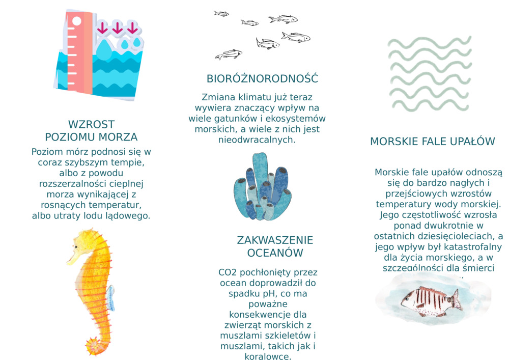 WZROST POZIOMU MORZA