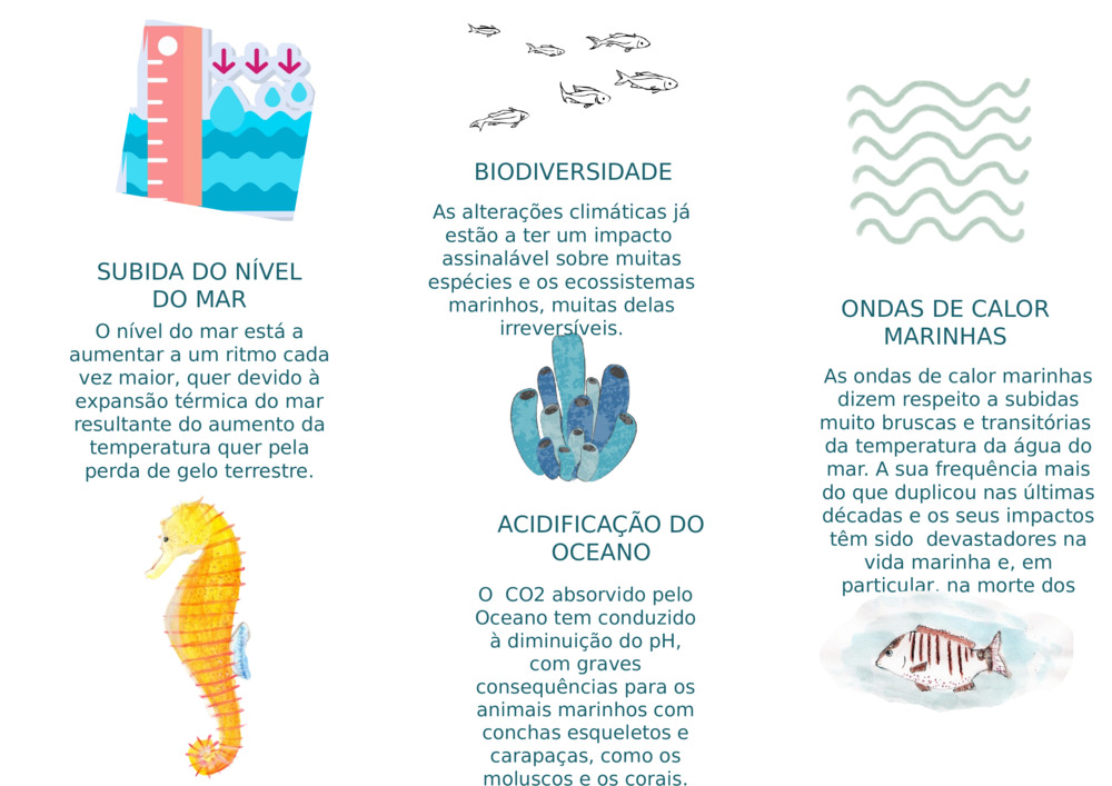 SUBIDA DO NÍVEL DO MAR