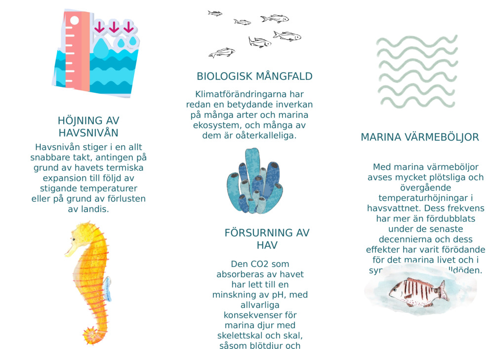 HÖJNING AV HAVSNIVÅN