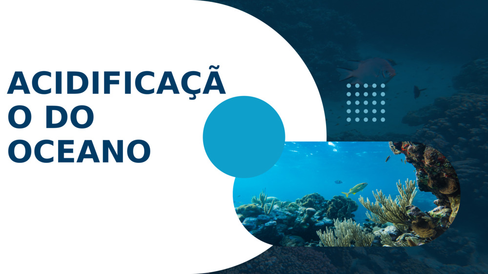 ACIDIFICAÇÃO DO OCEANO