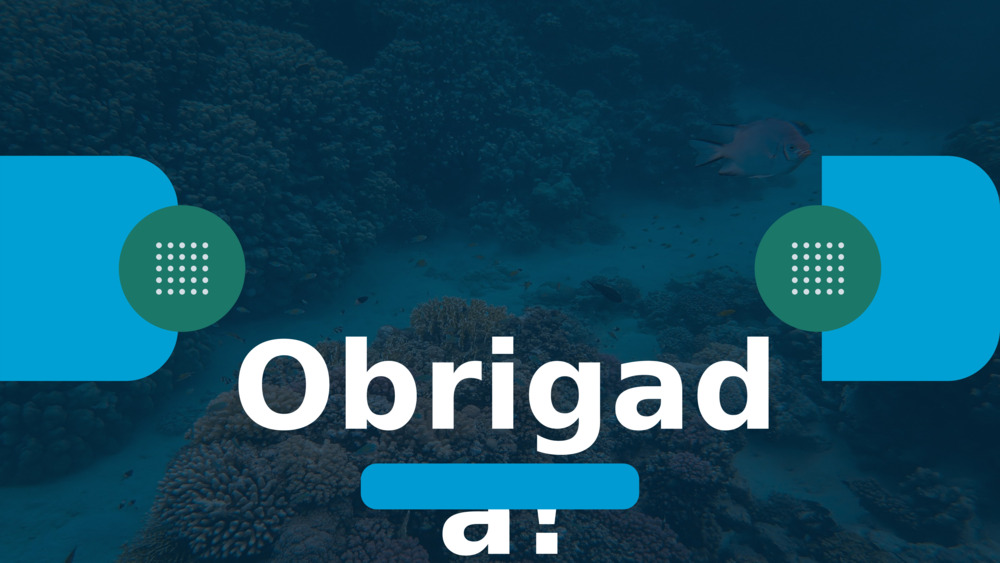 Obrigada!