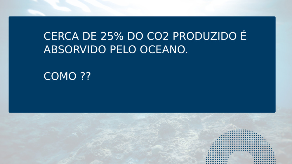 CERCA DE 25% DO CO2 PRODUZIDO É ABSORVIDO PELO OCEANO.