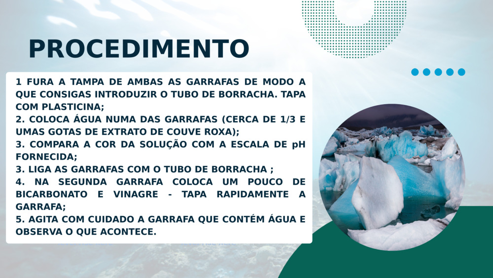 PROCEDIMENTO