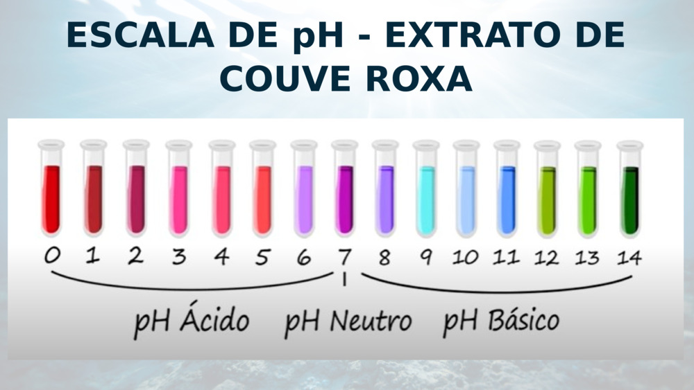 ESCALA DE pH - EXTRATO DE COUVE ROXA