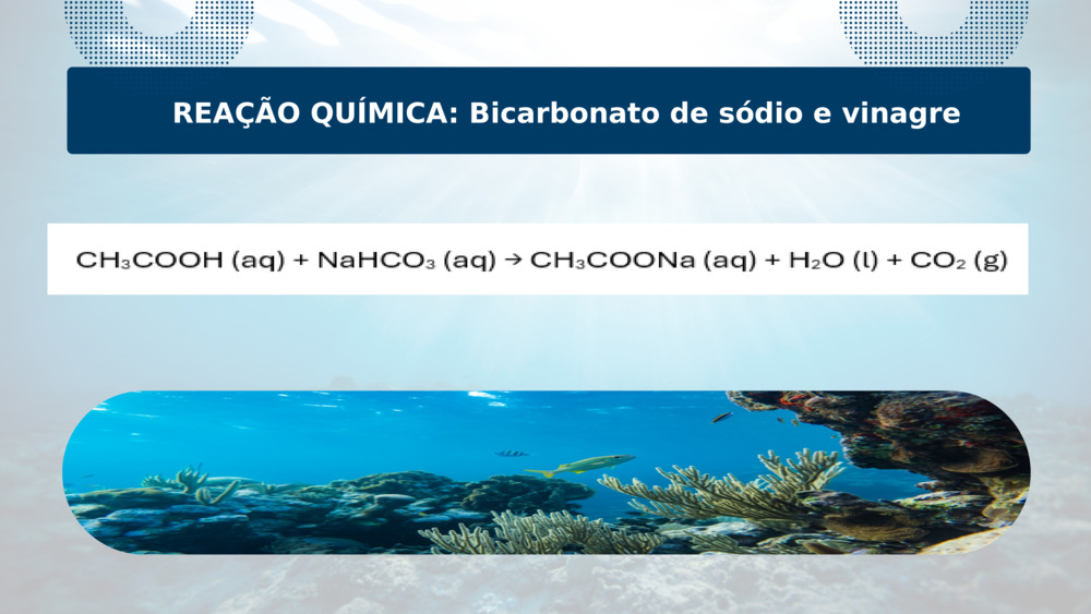 REAÇÃO QUÍMICA: Bicarbonato de sódio e vinagre