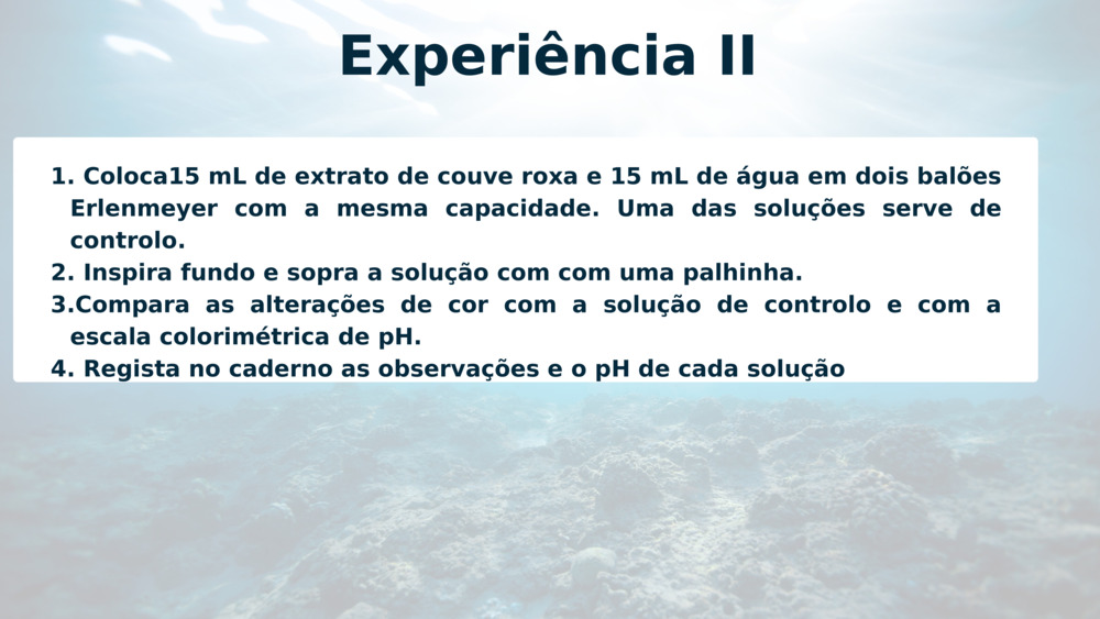 Experiência II