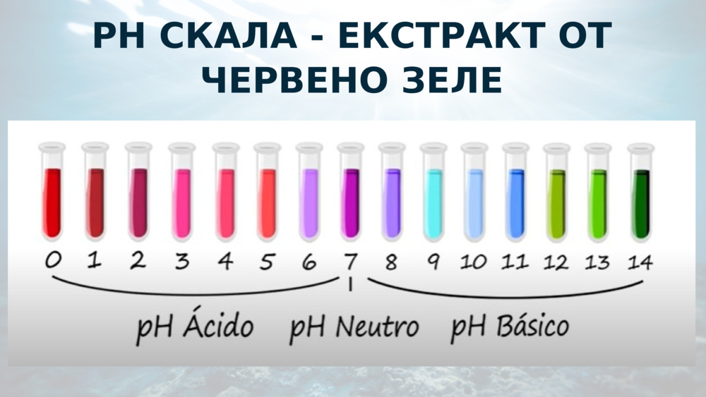 PH СКАЛА - ЕКСТРАКТ ОТ ЧЕРВЕНО ЗЕЛЕ