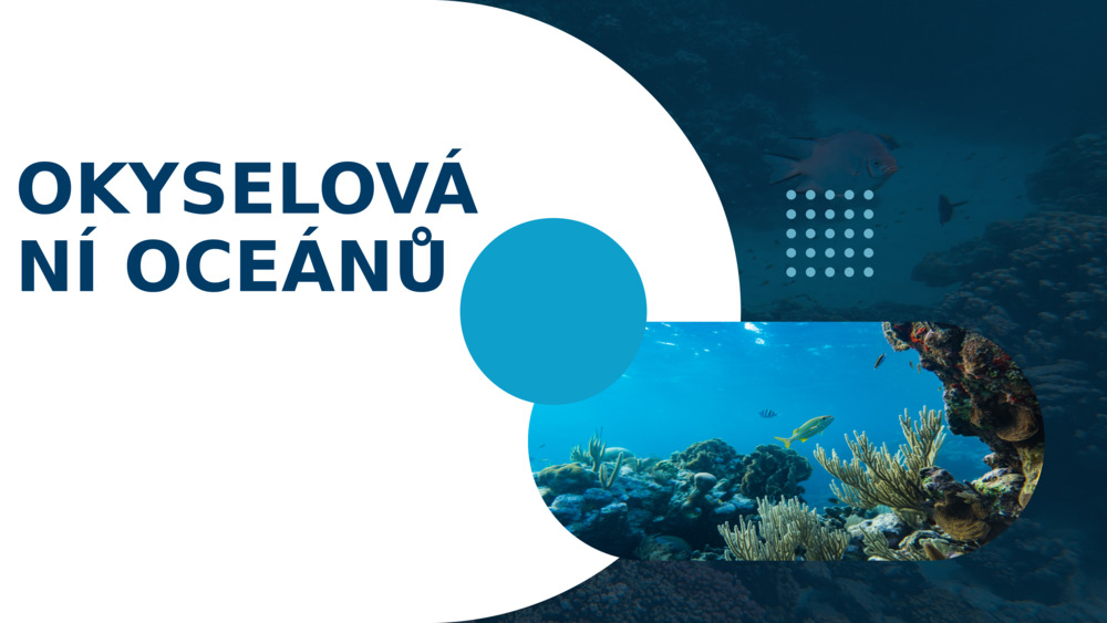 OKYSELOVÁNÍ OCEÁNŮ