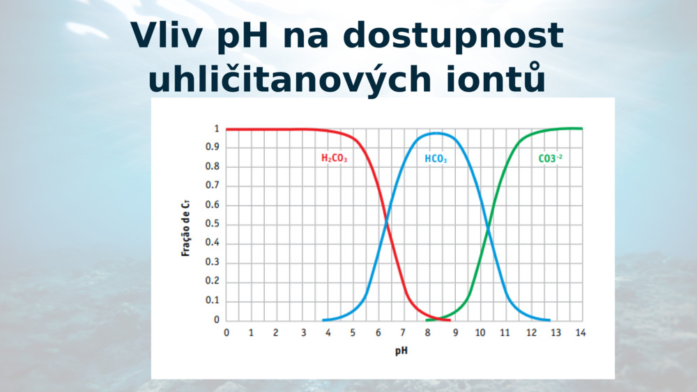 Vliv pH na dostupnost uhličitanových iontů