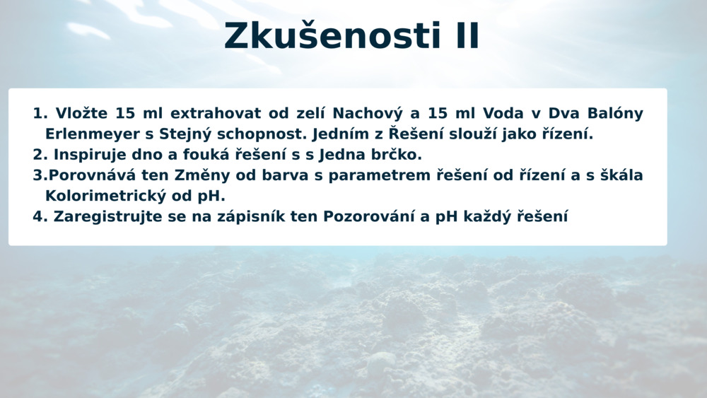 Zkušenosti II