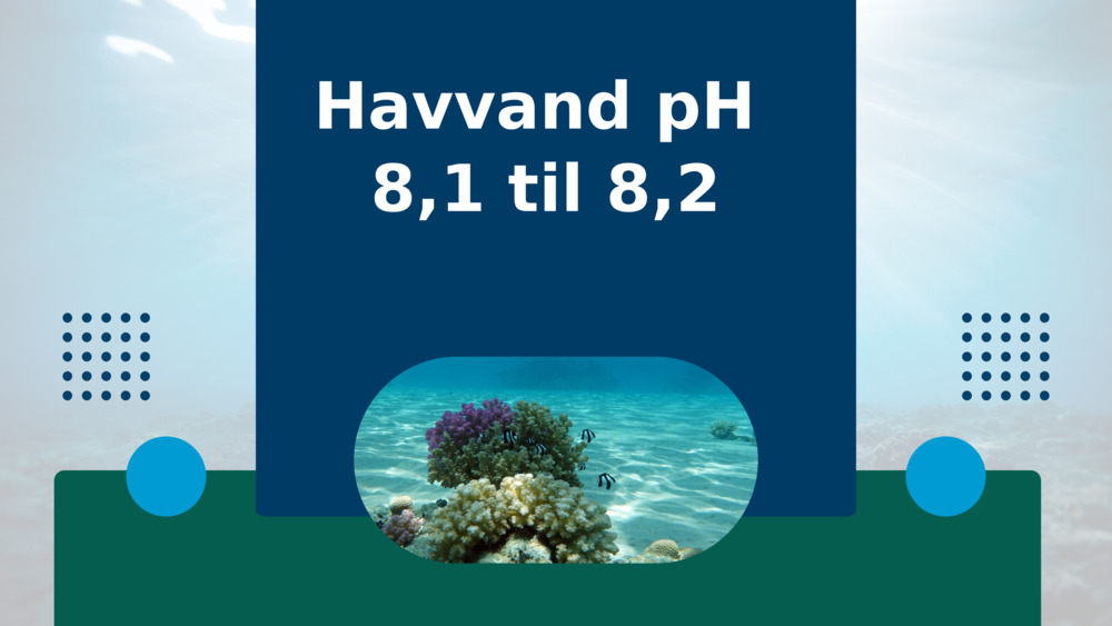 Havvand pH 