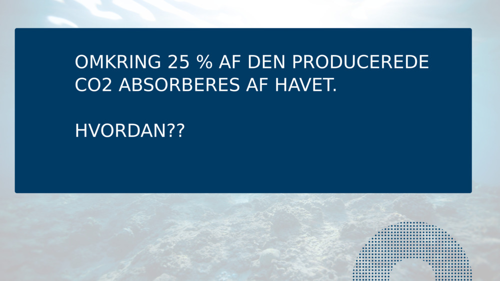 OMKRING 25 % AF DEN PRODUCEREDE CO2 ABSORBERES AF HAVET.