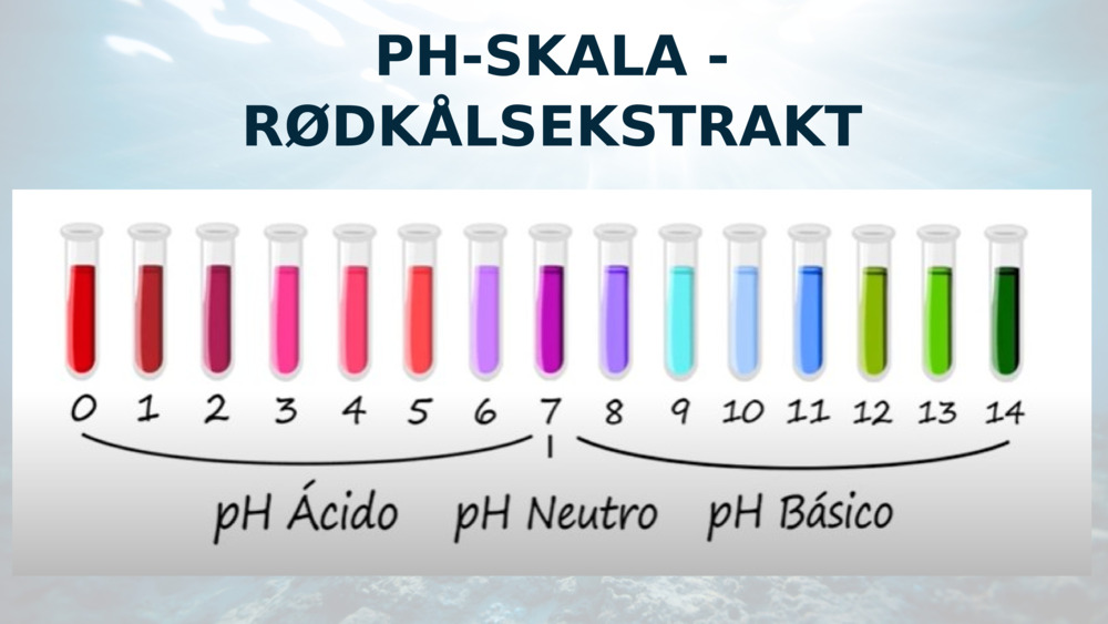 PH-SKALA - RØDKÅLSEKSTRAKT