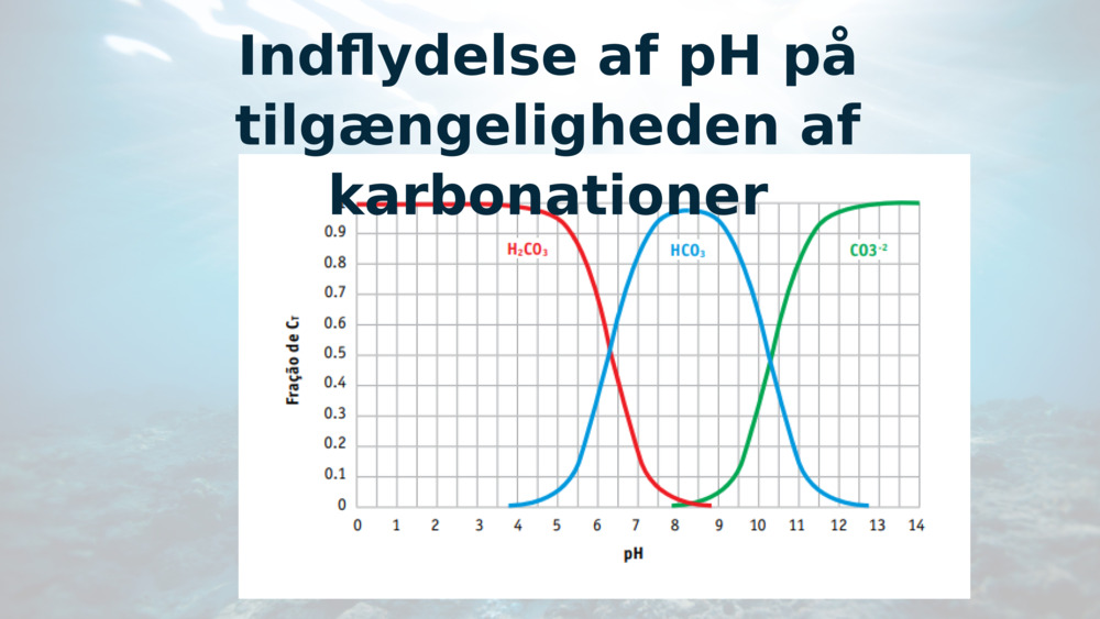 Indflydelse af pH på tilgængeligheden af karbonationer