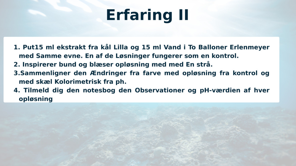 Erfaring II