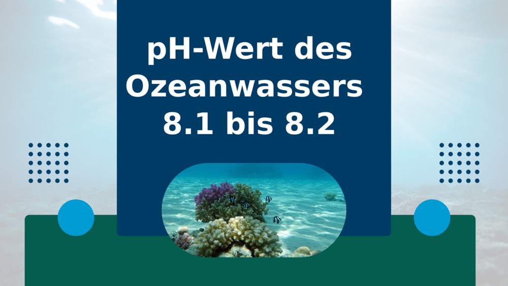 pH-Wert des Ozeanwassers 