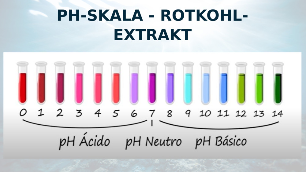 PH-SKALA - ROTKOHL-EXTRAKT