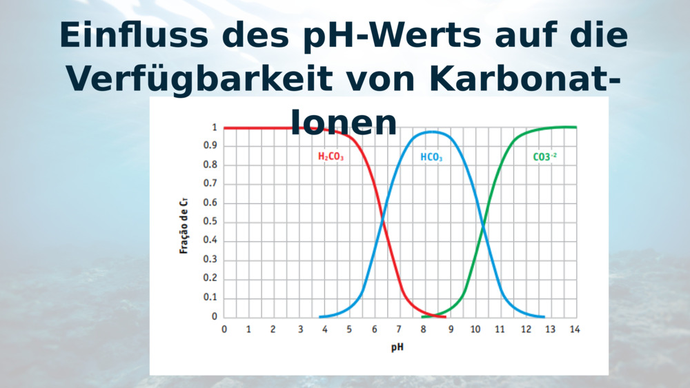 Einfluss des pH-Werts auf die Verfügbarkeit von Karbonat-Ionen