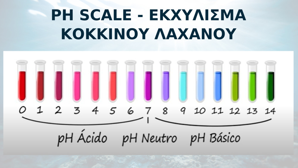 PH SCALE - ΕΚΧΥΛΙΣΜΑ ΚΟΚΚΙΝΟΥ ΛΑΧΑΝΟΥ