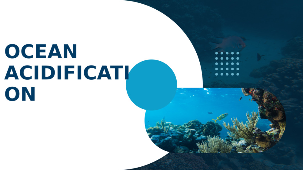 OCEAN ACIDIFICATION