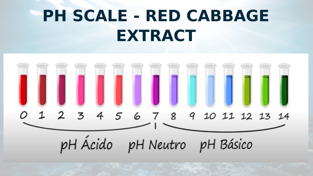 PH SCALE - RED CABBAGE EXTRACT