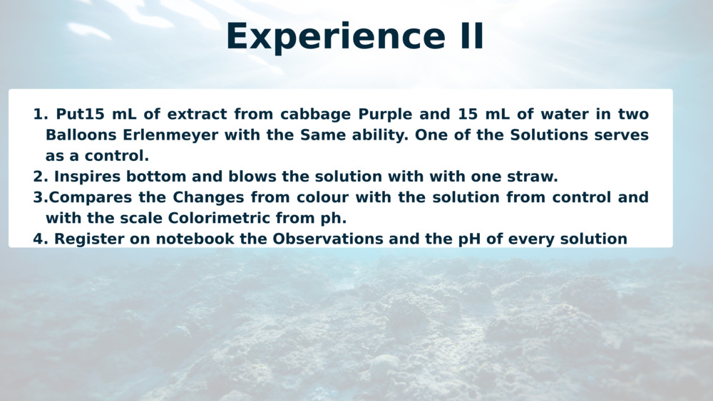 Experience II