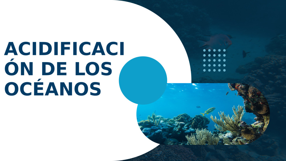 ACIDIFICACIÓN DE LOS OCÉANOS