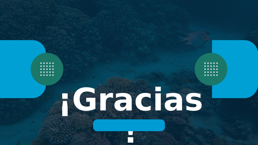 ¡Gracias!