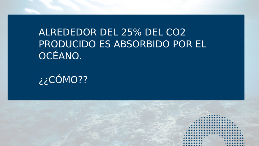 ALREDEDOR DEL 25% DEL CO2 PRODUCIDO ES ABSORBIDO POR EL OCÉANO.