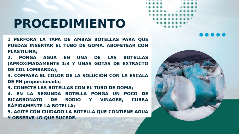 PROCEDIMIENTO