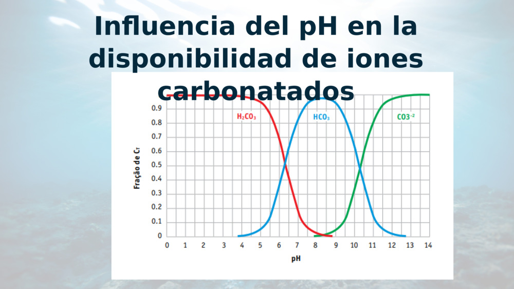 Influencia del pH en la disponibilidad de iones carbonatados
