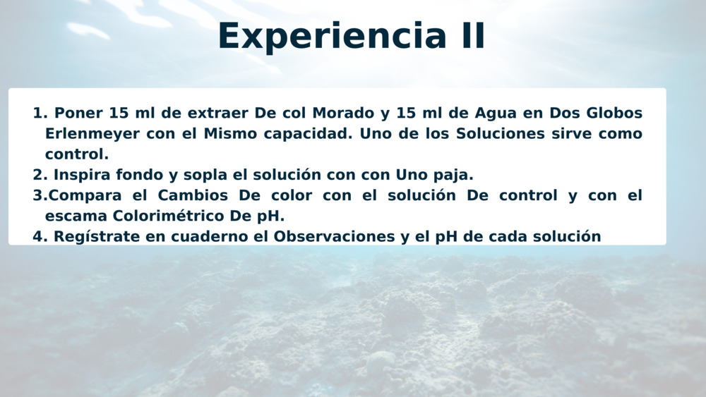 Experiencia II
